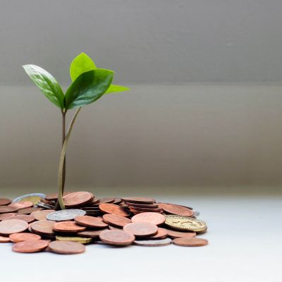 Finance & Banking