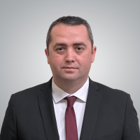 Prof. univ. dr. Petru Marin Ștefea